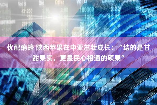优配痢略 陕西苹果在中亚茁壮成长：“结的是甘甜果实，更是民心相通的硕果”