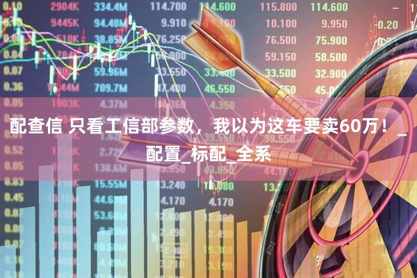 配查信 只看工信部参数，我以为这车要卖60万！_配置_标配_全系