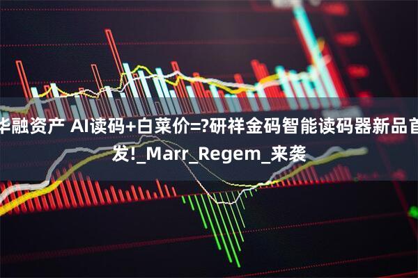 华融资产 AI读码+白菜价=?研祥金码智能读码器新品首发!_Marr_Regem_来袭