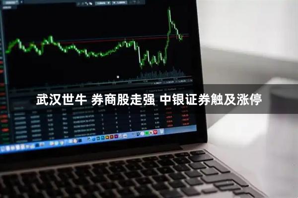 武汉世牛 券商股走强 中银证券触及涨停